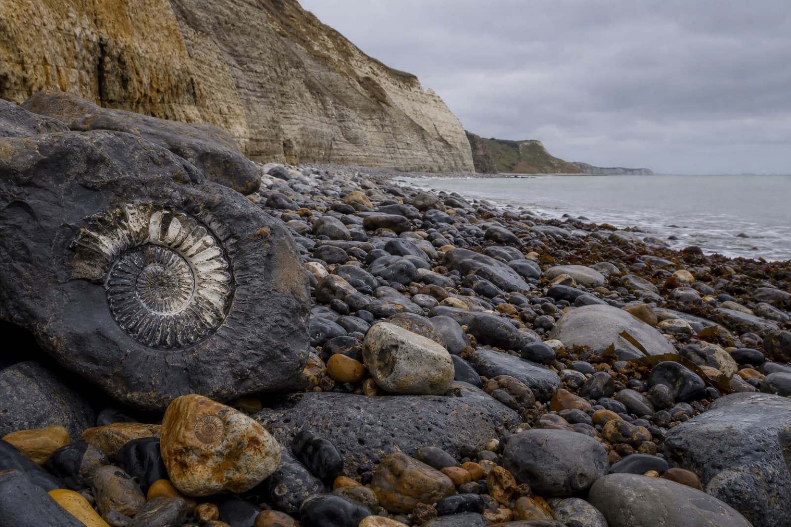 Sample chalk foreshore
