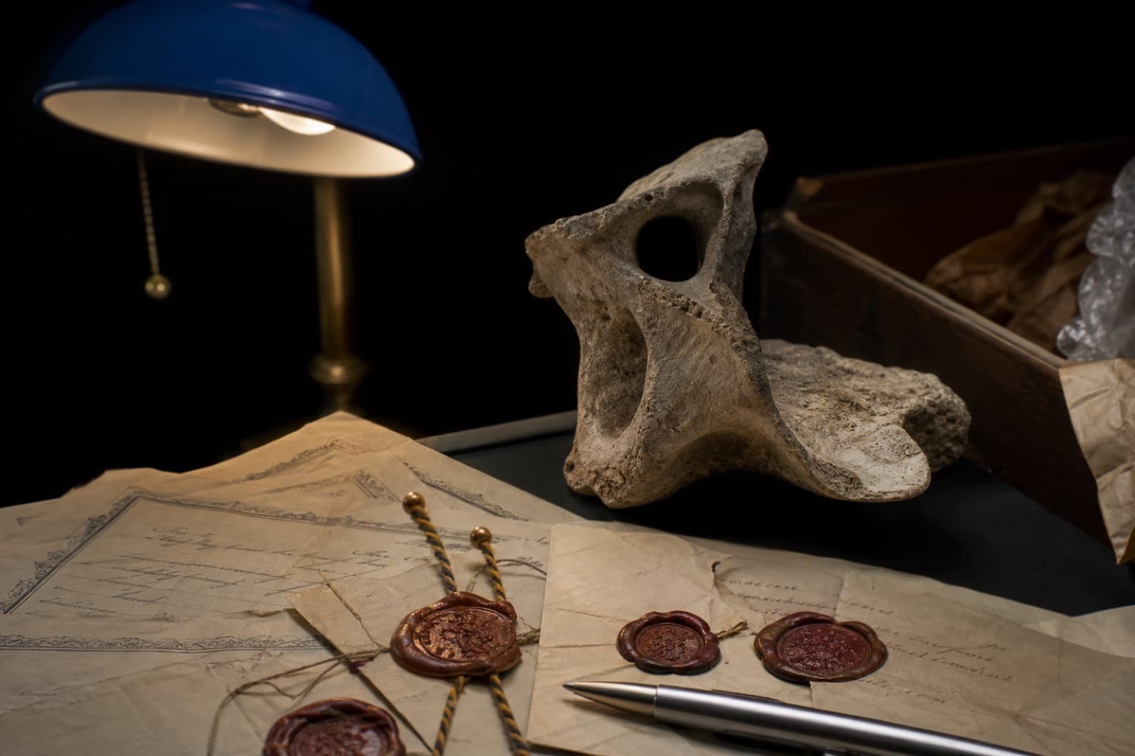 Sample photo — Velociraptor context