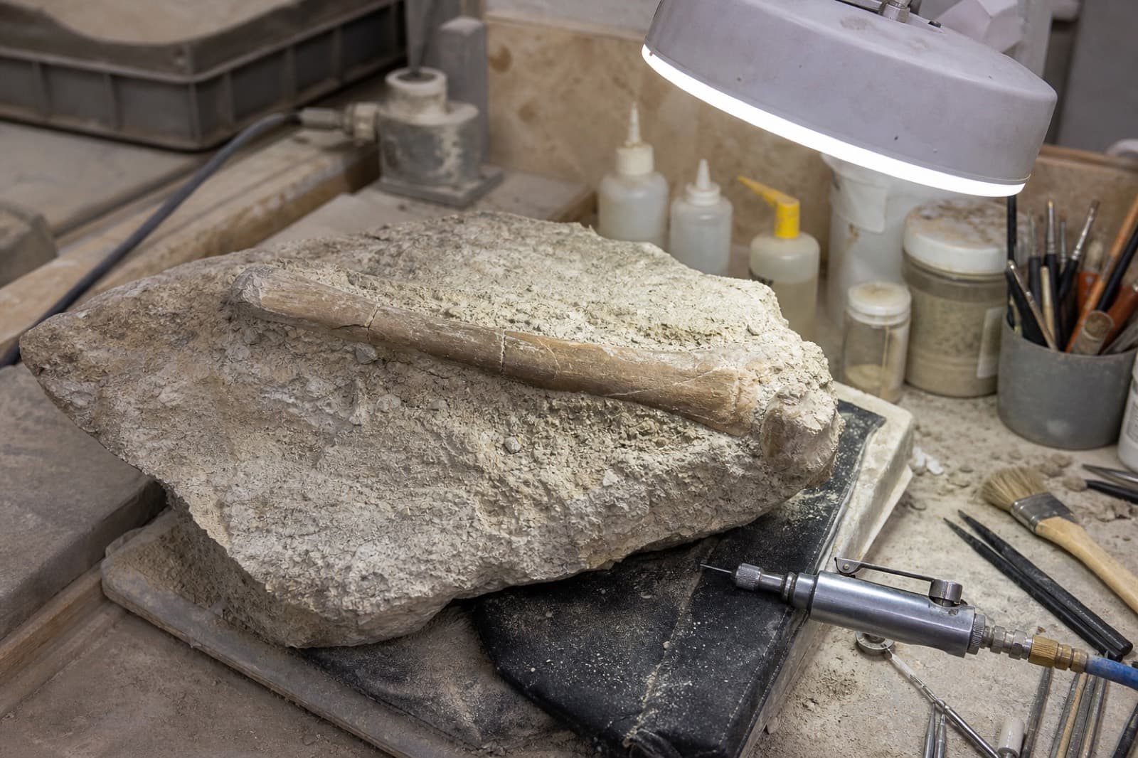Sample prep bench