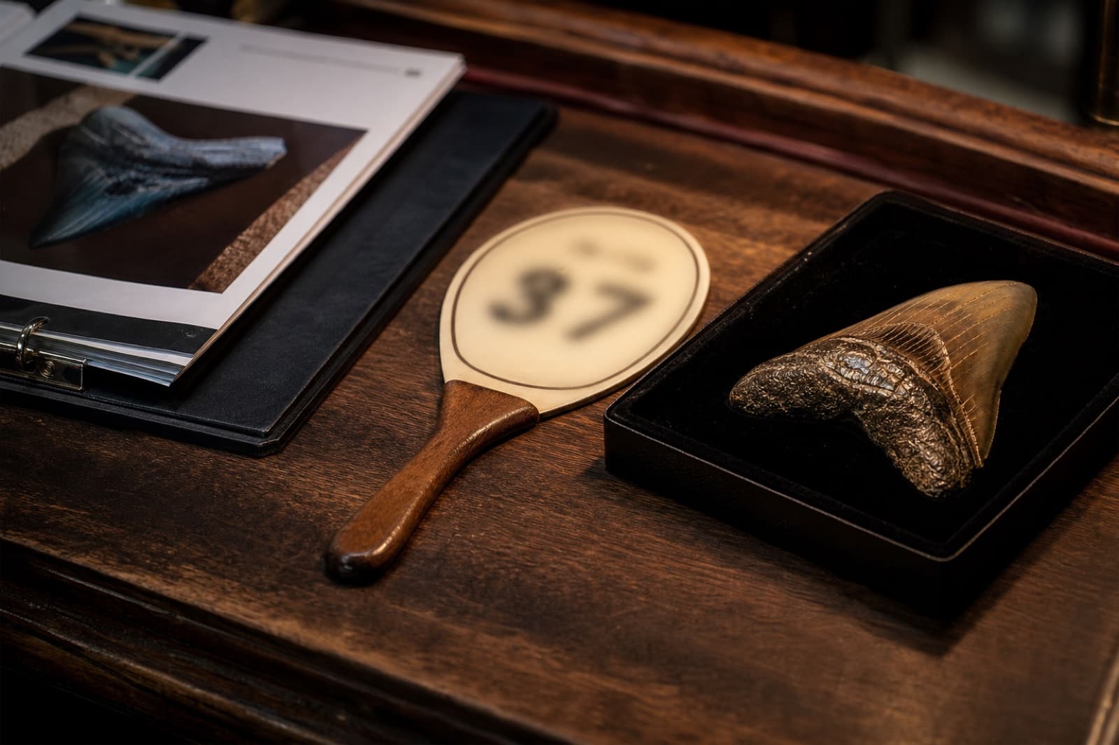 Sample bidding paddle on a desk beside a fossil specimen