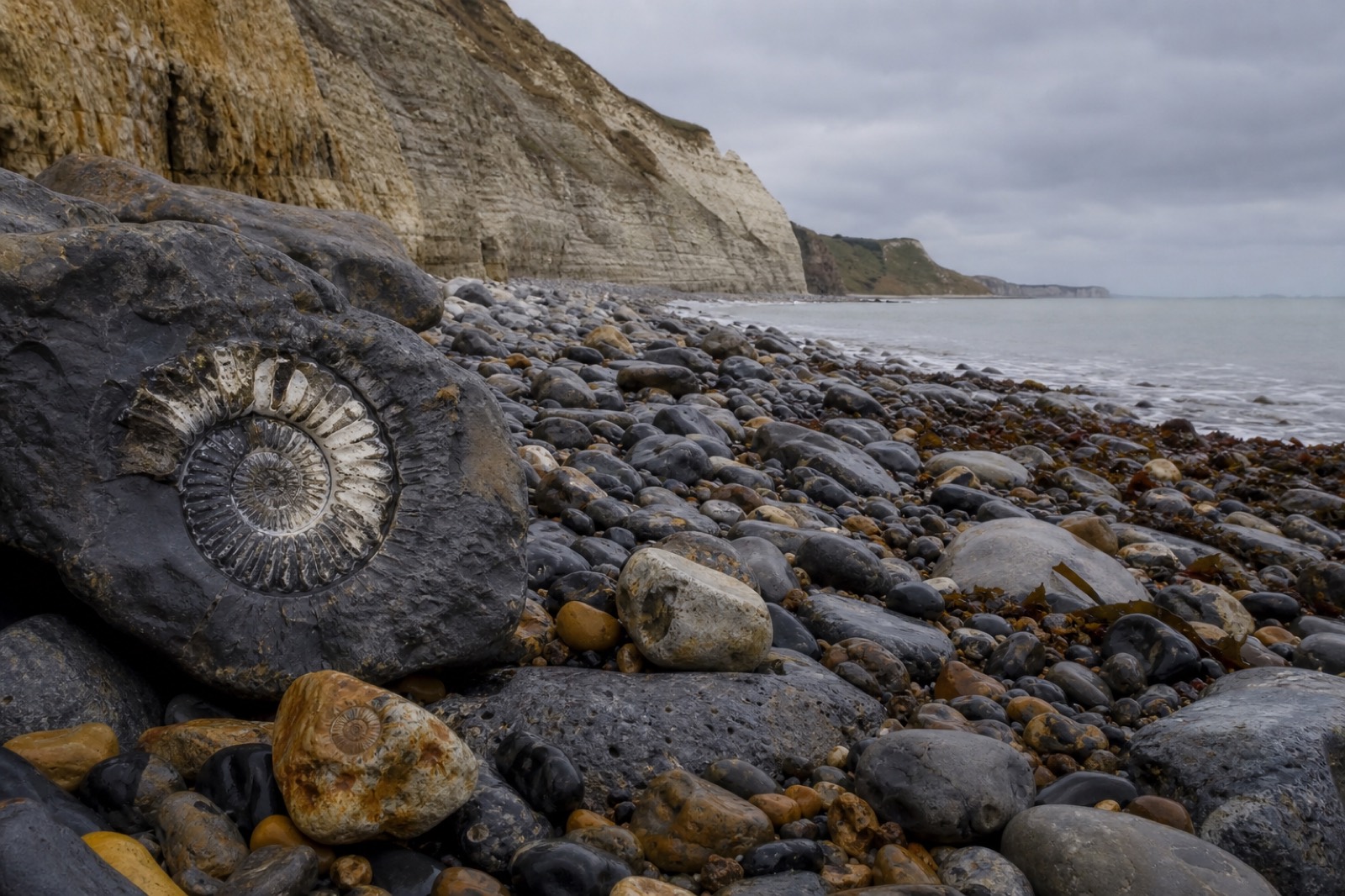 Sample chalk foreshore