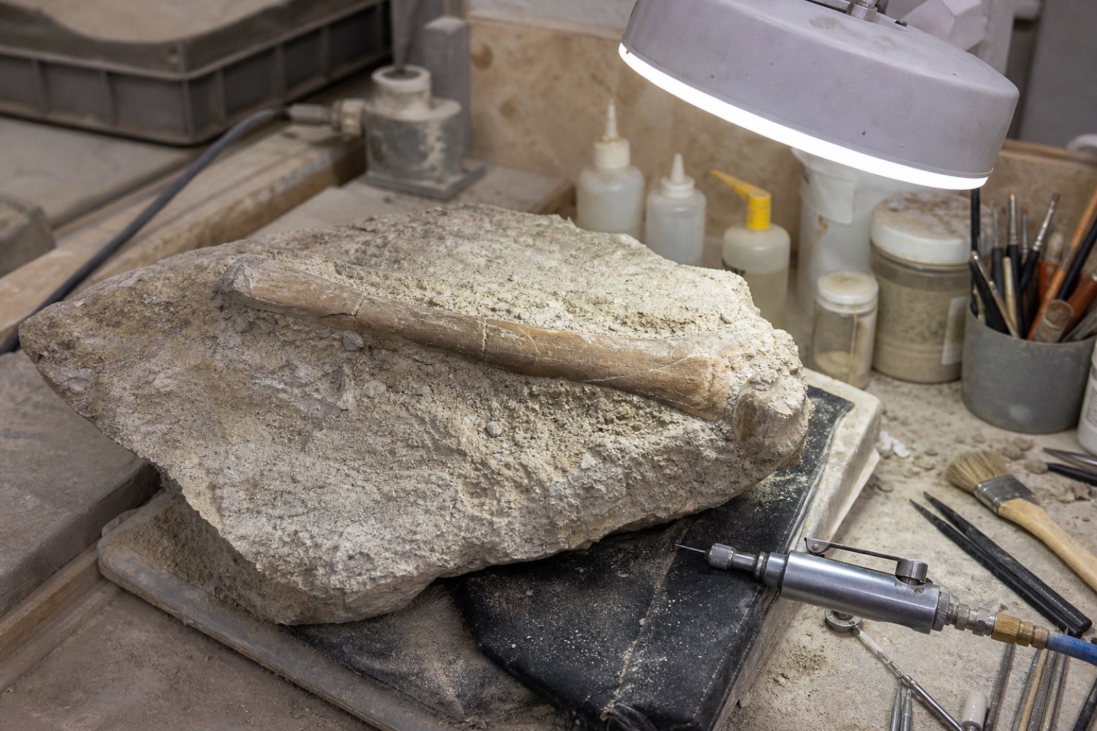 Sample prep bench