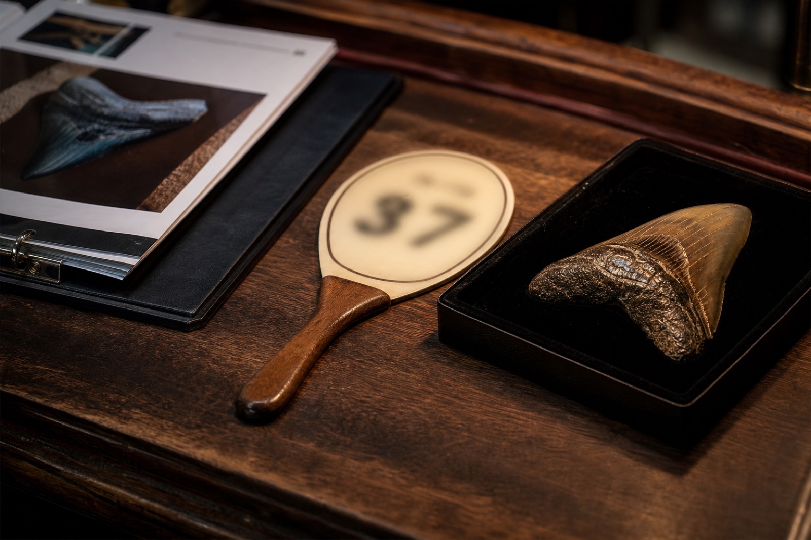 Sample bidding paddle on a desk beside a fossil specimen